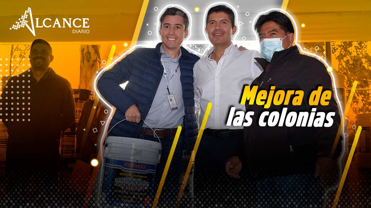 Comités de Participación Ciudadana