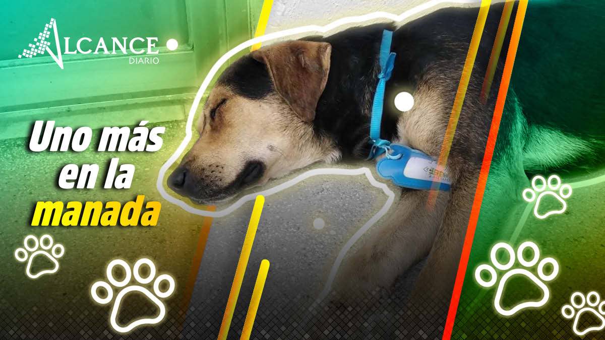 Uno más en la manada de la BUAP