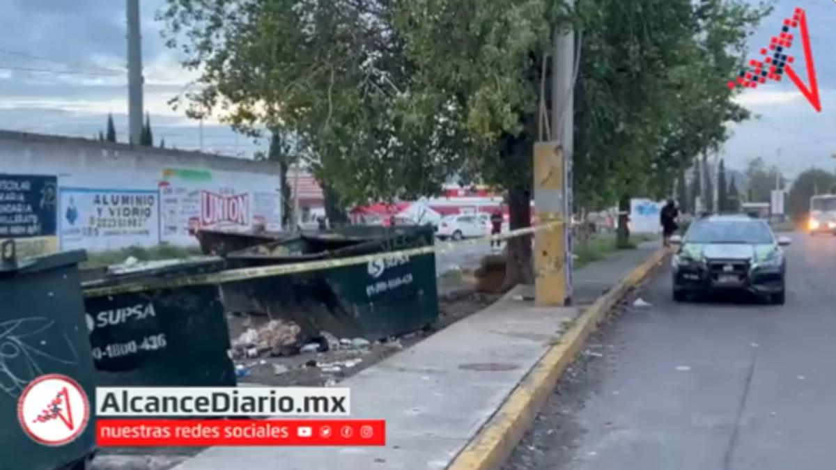 bolsa de desechos clínicos en bosques