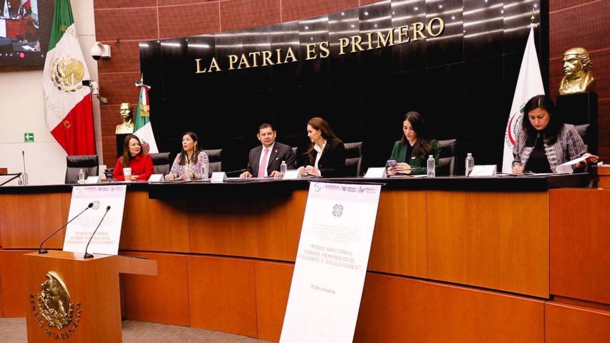 Alejandro Armenta en el Senado