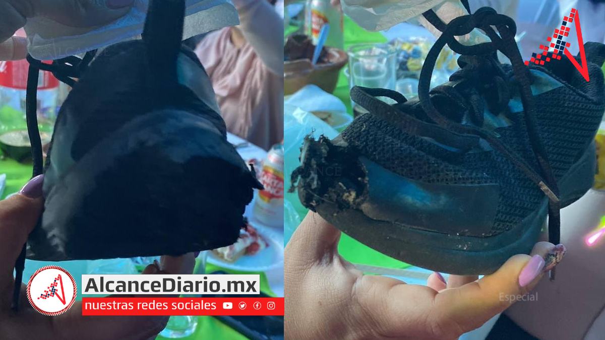 Perrito callejero se roba tenis