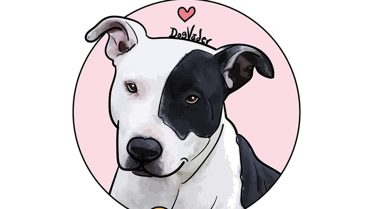 Pitbull de Copoya