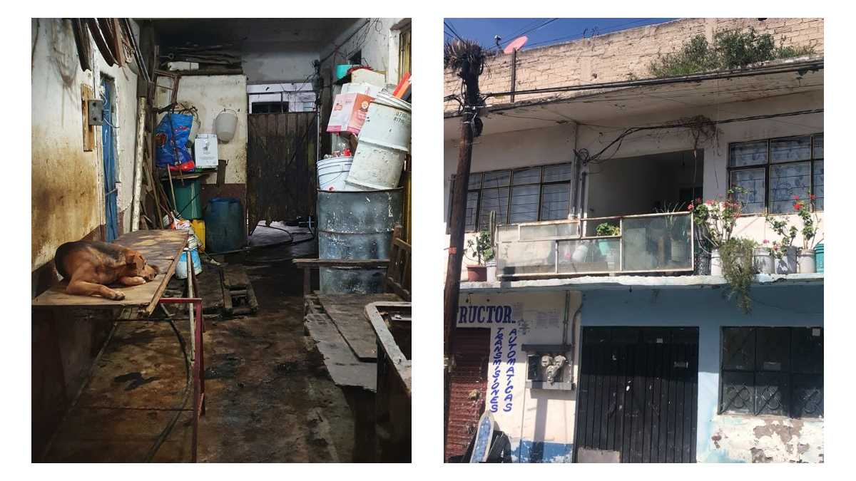 Rescatan a perros en Neza