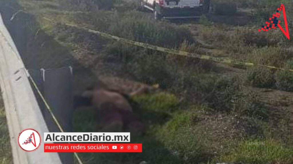Tráilero se avienta en Esperanza