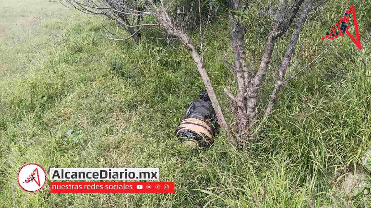 embolsado Tecamachalco