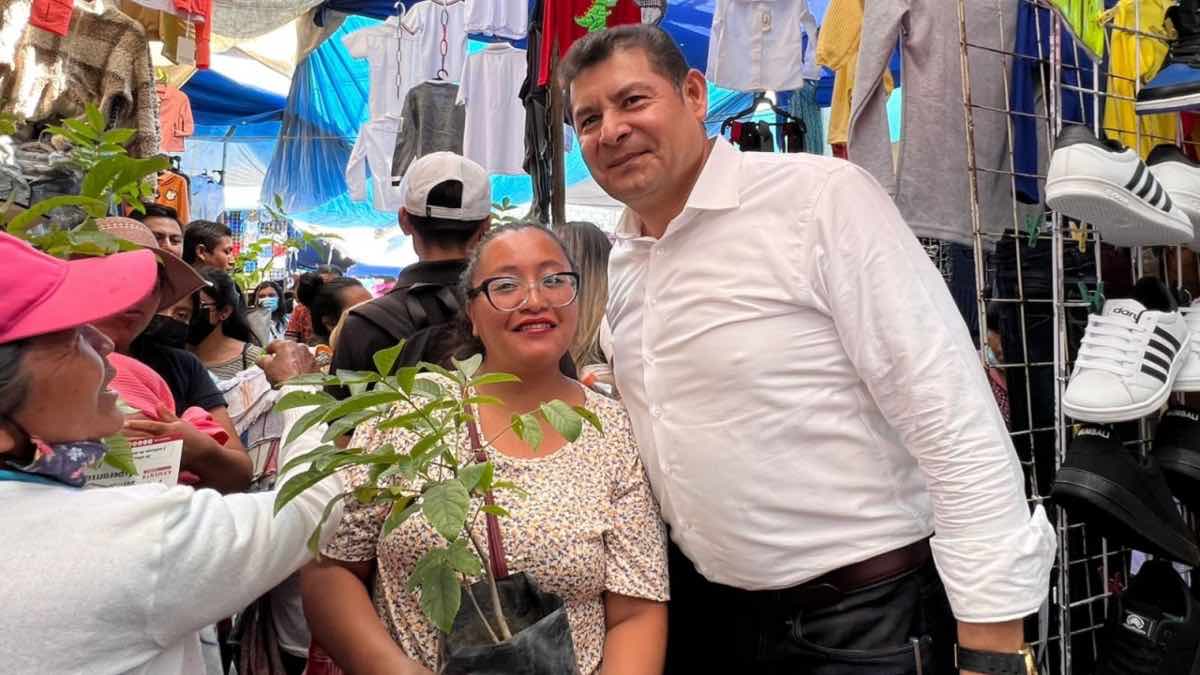 Armenta reforma natural