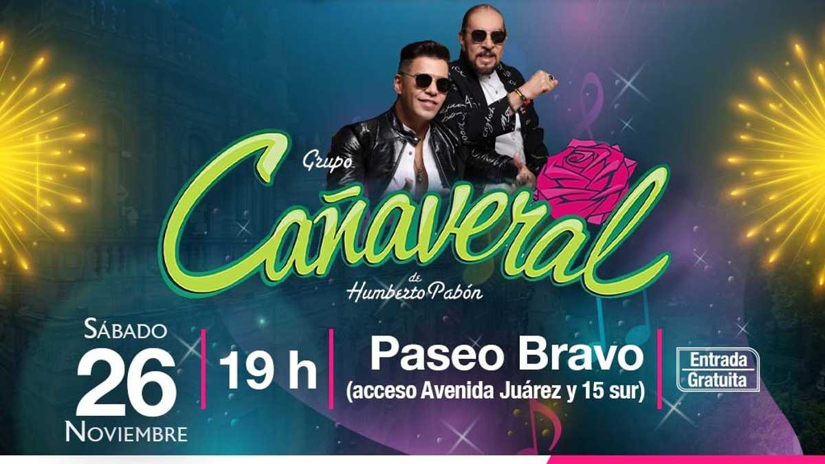 Cañaveral en Puebla