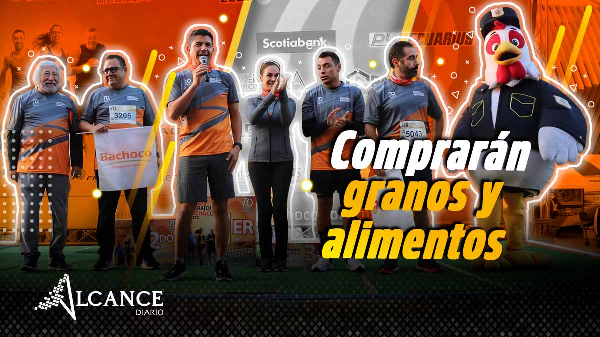 Comprarán granos y alimentos