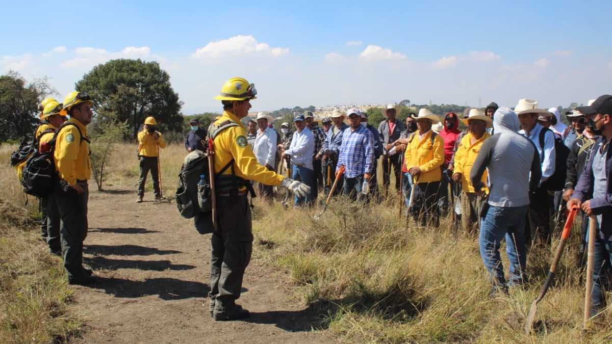 INCENDIOS FORESTALES