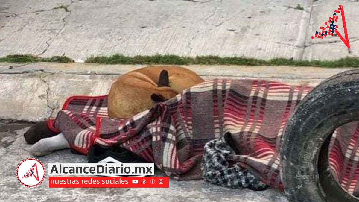 Lomito acompañó a su dueño