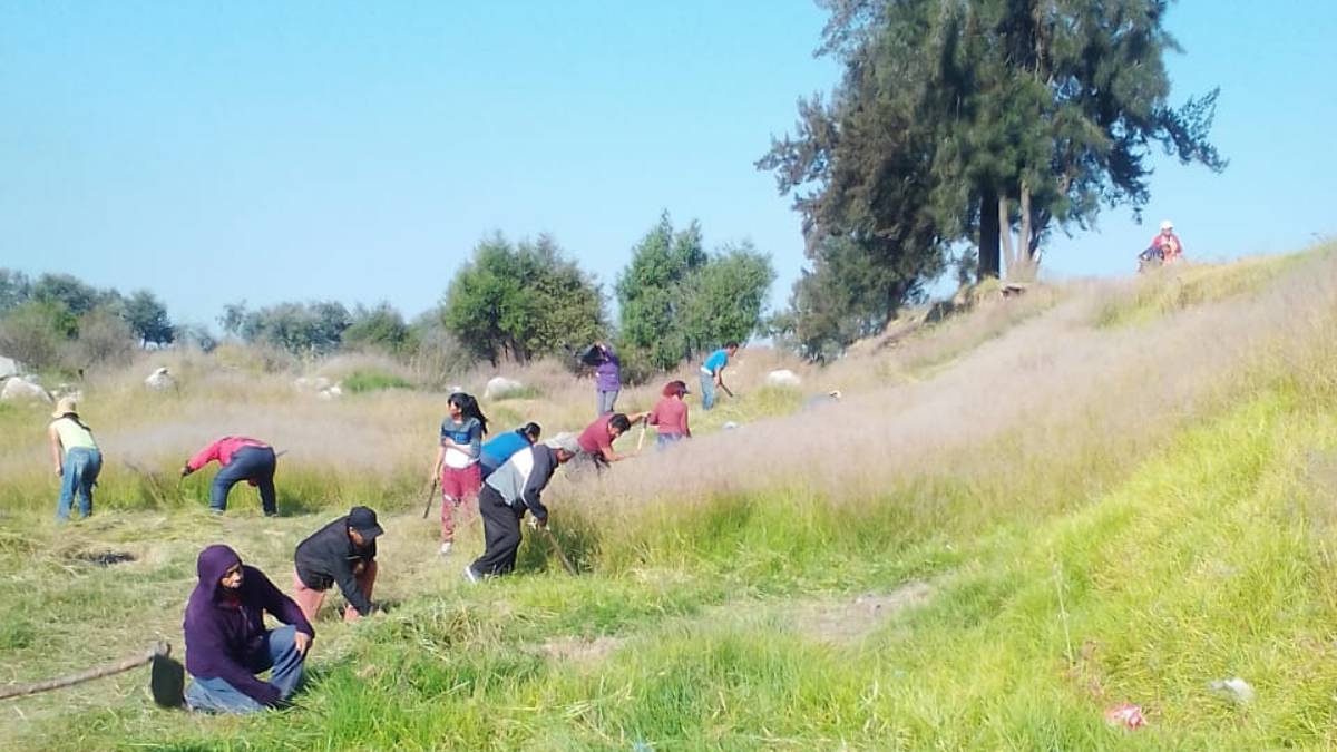 Vecinos de Amozoc realizan faena ciudadana