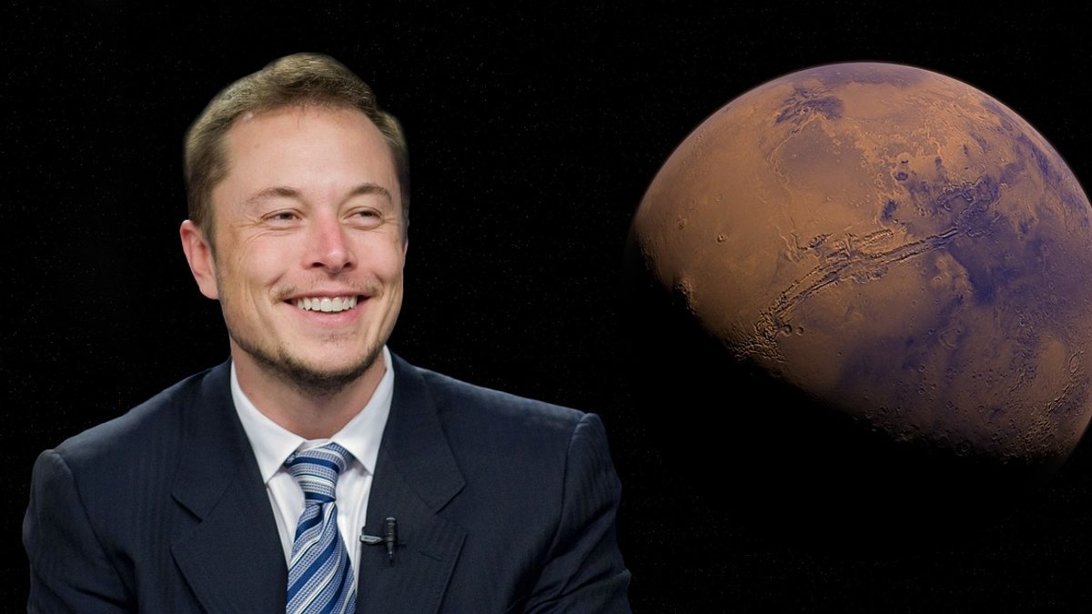 elon musk corre a twitter mexico