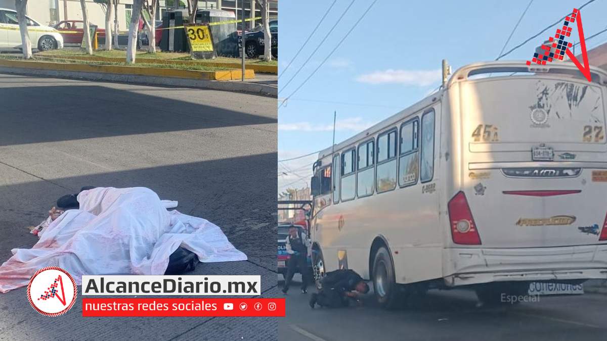 45A en Las Torres