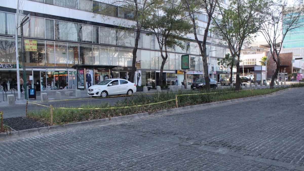 Camellones en la Juárez