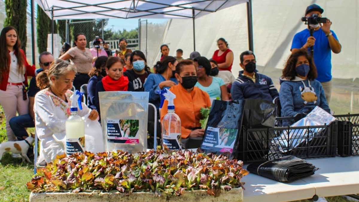 MODELO INTEGRAL DE AGRONEGOCIOS