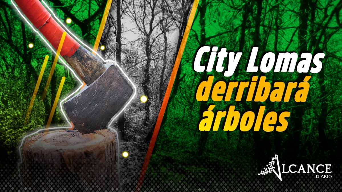 City Lomas derribará árboles