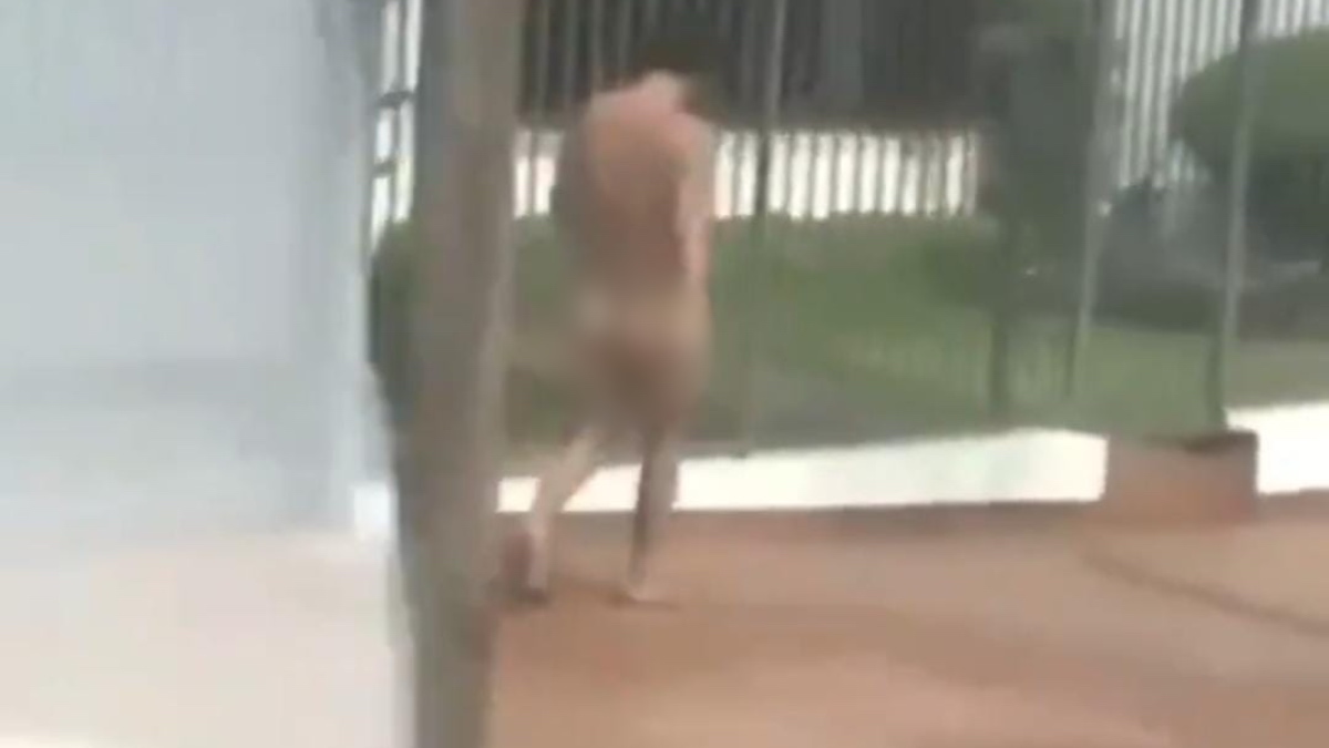 Hombre desnudo