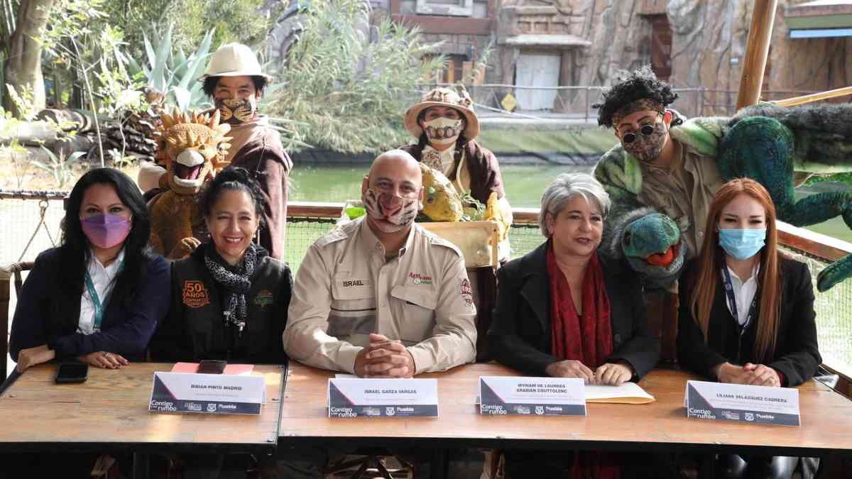 Lanzan campaña Verde Navidad
