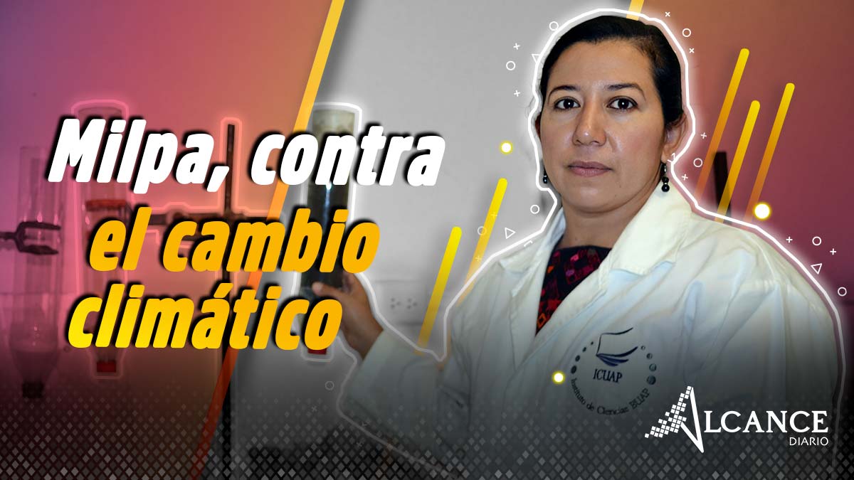 Investigadora BUAP