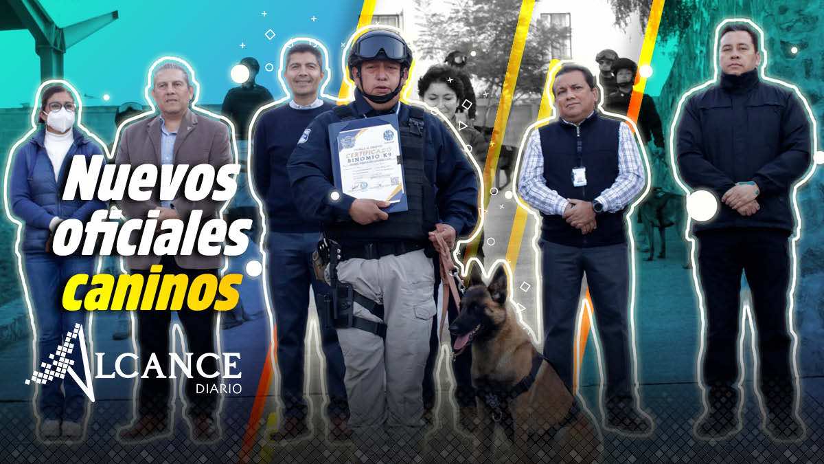 Nuevos oficiales caninos de la sSC