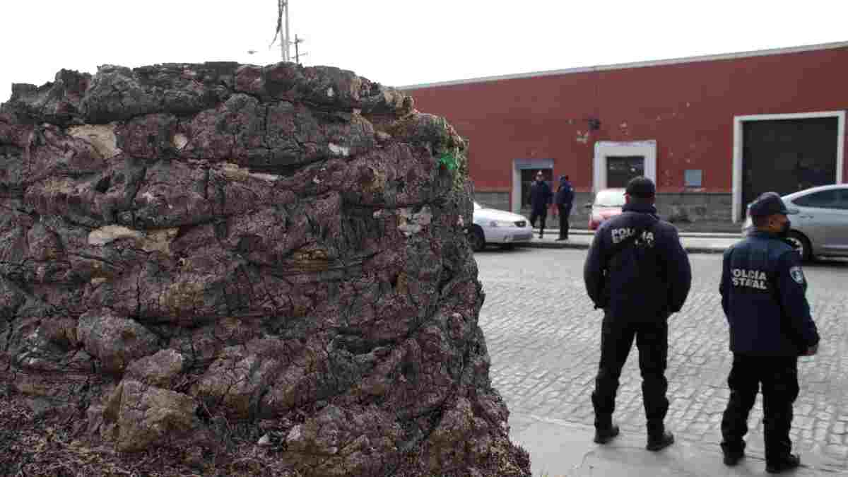 Palmeras cortadas en El Alto