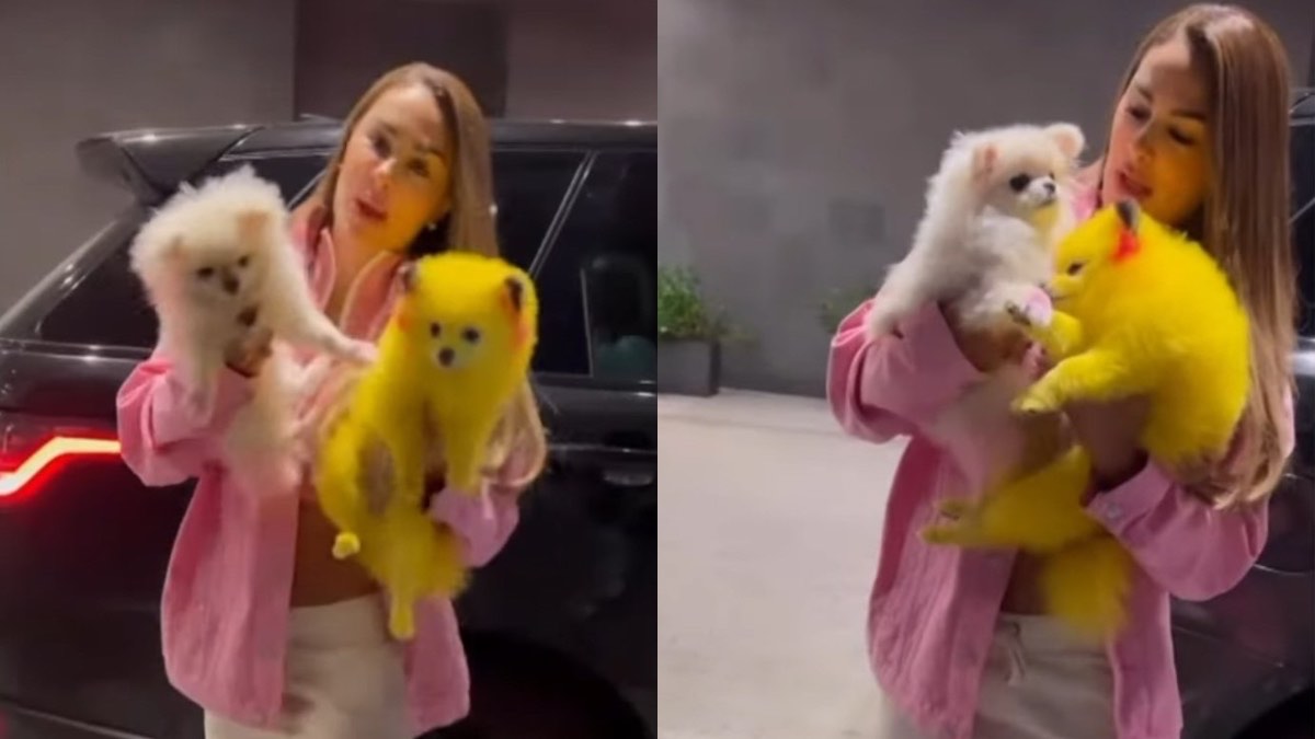 Perrito de Ninel Conde