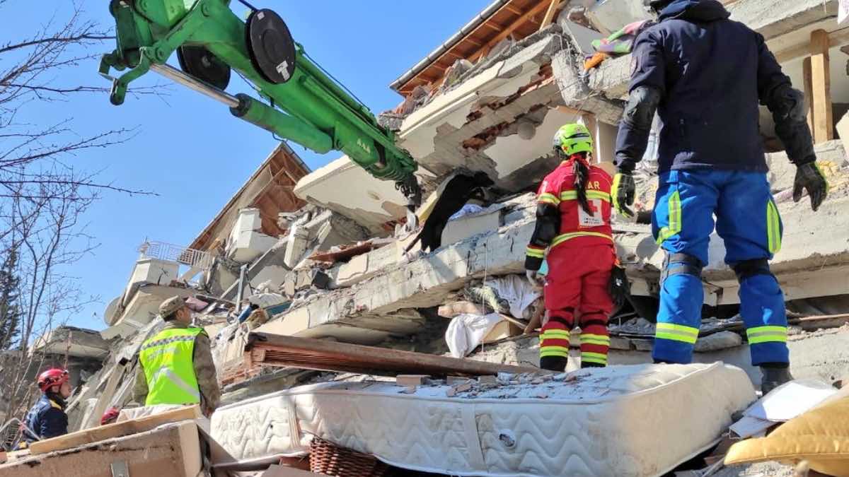 Binomio canino en Turquía