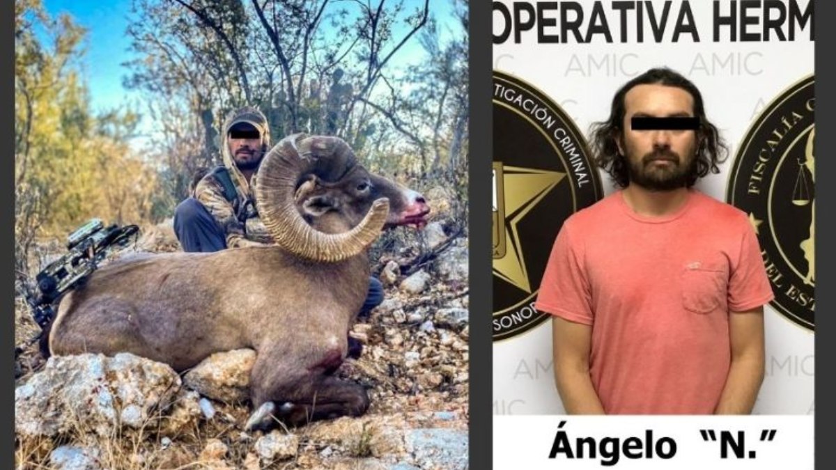 Cazador furtivo detenido