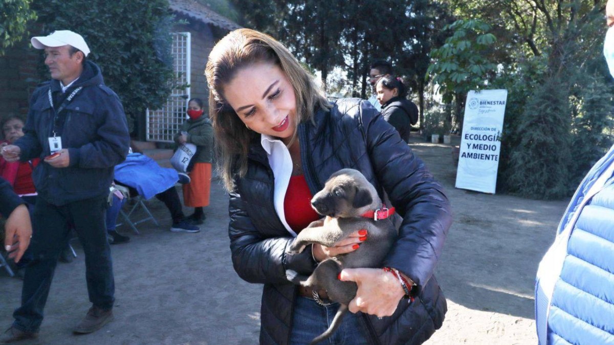 Jornada de adopción en Cholula