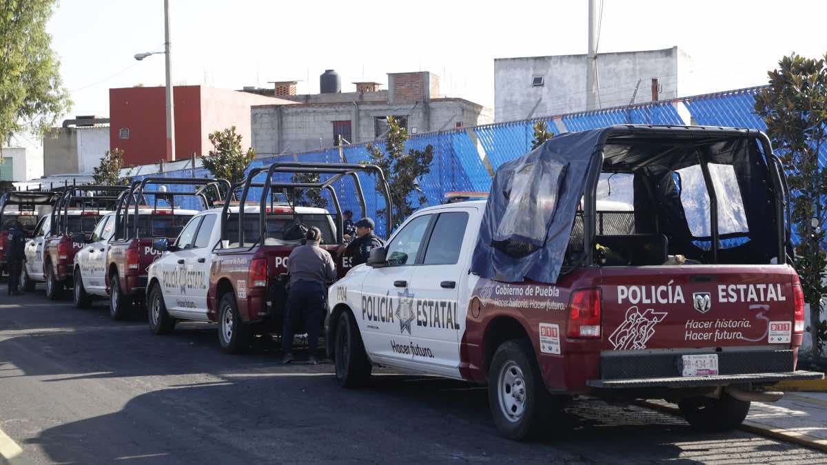 Policia Estatal