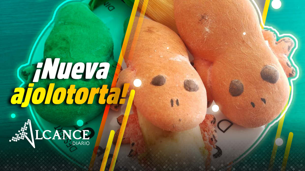 ¡Nueva ajolotorta!