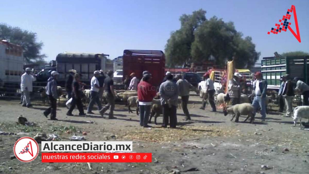 Asalto Yehualtepec-2