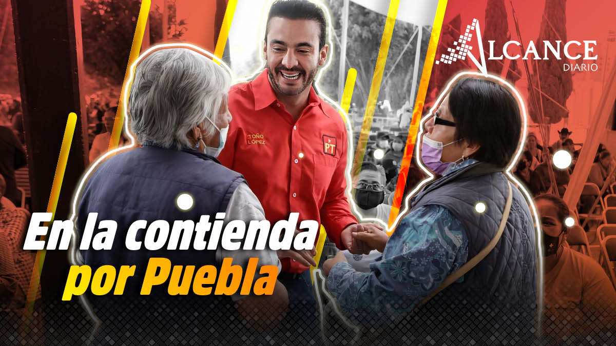 Diputado Toño López