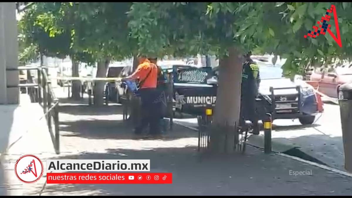 Feto humano en Puebla-2-