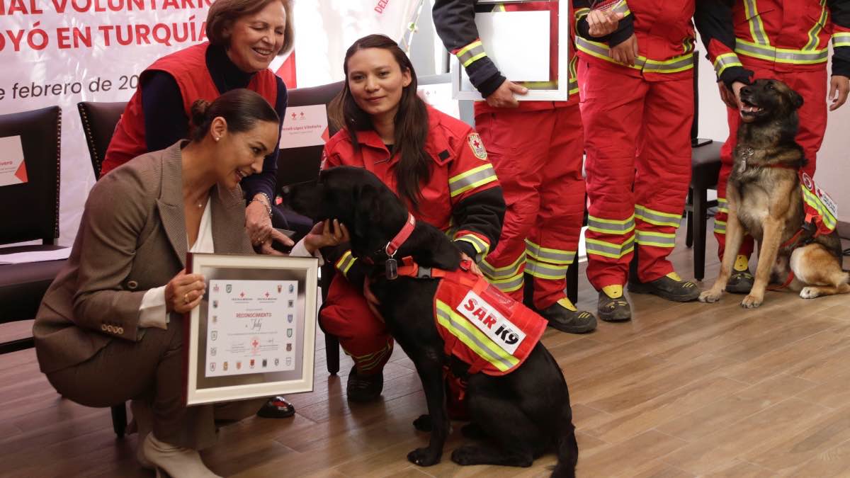 Perros rescatistas México