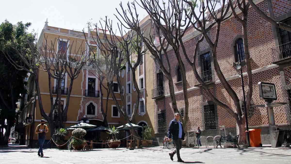 Poda en Plaza de la Democracia