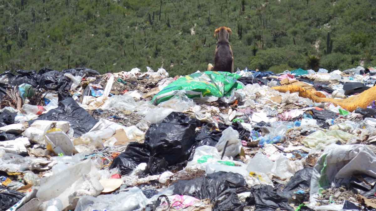 Basura en Puebla-IGAVIM