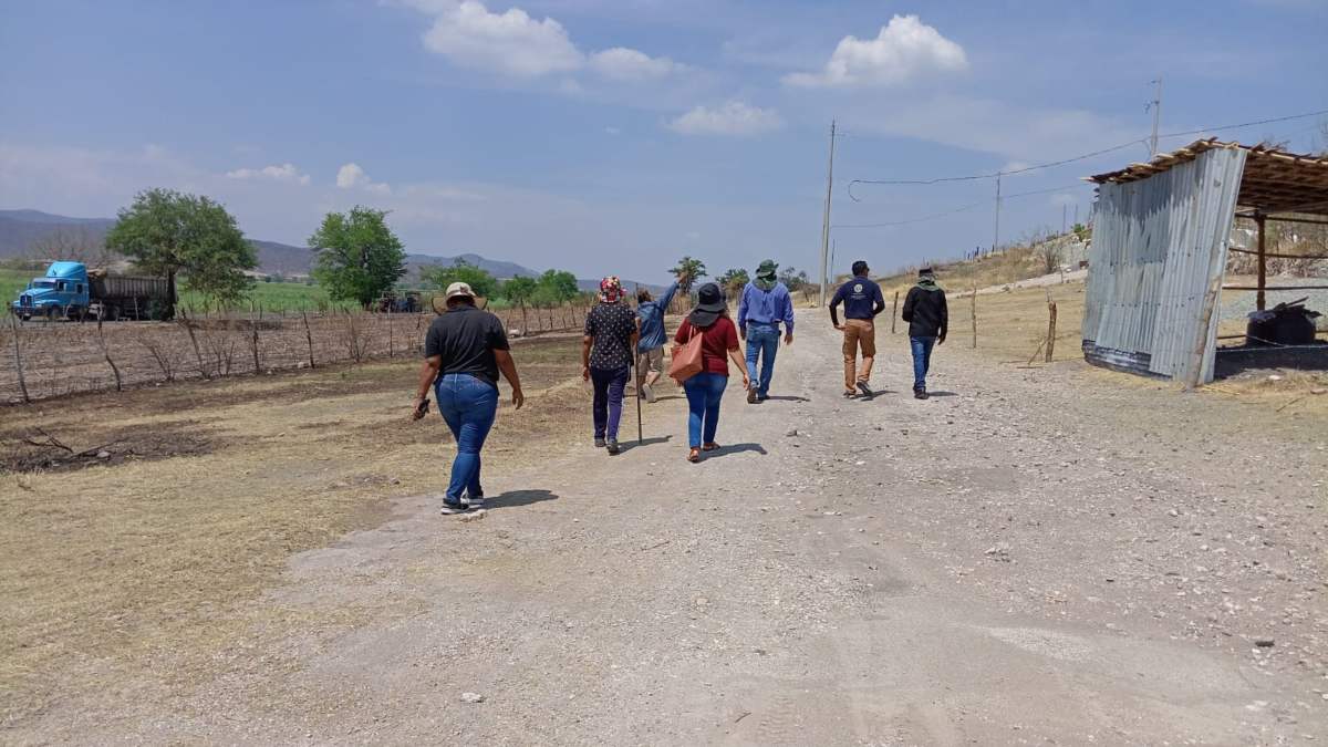 Daños por lluvias en Chietla