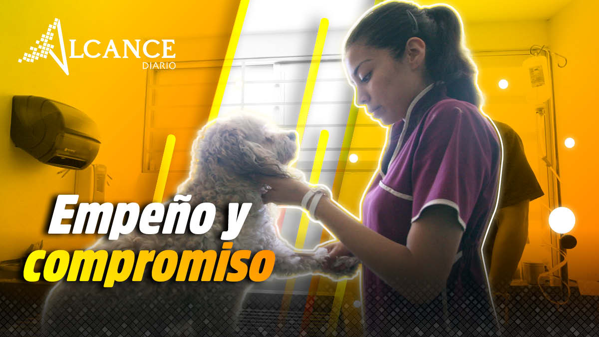 Empeño y compromiso