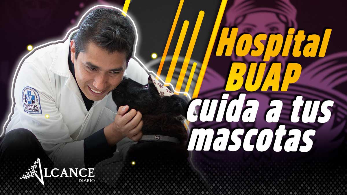 Hospital BUAP cuida a tus mascotas