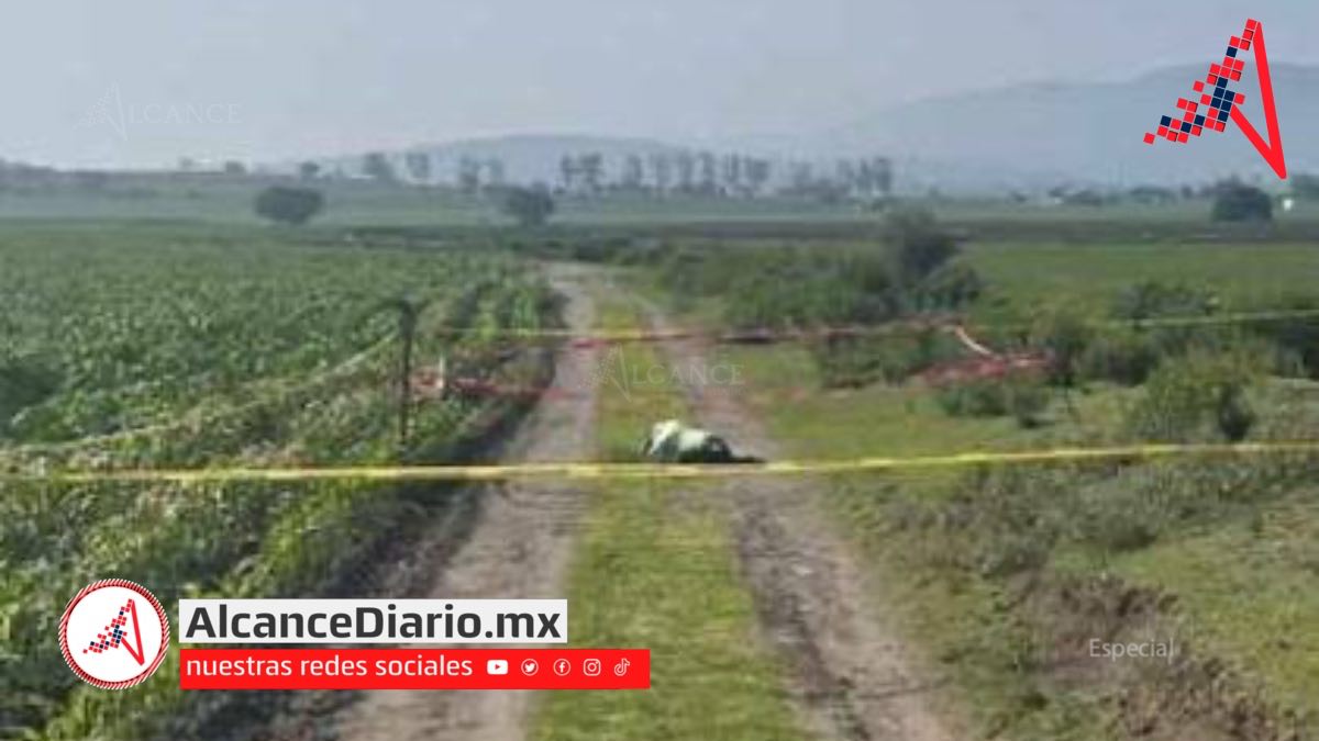 Emplayado en Nopalucan-2