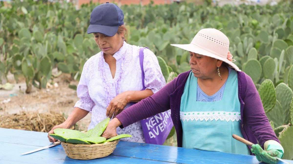 Feria del Nopal 2023