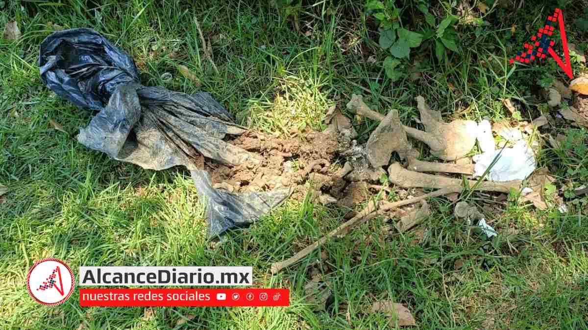 Hallan osamenta cerca del Hospital General de Teziutlán