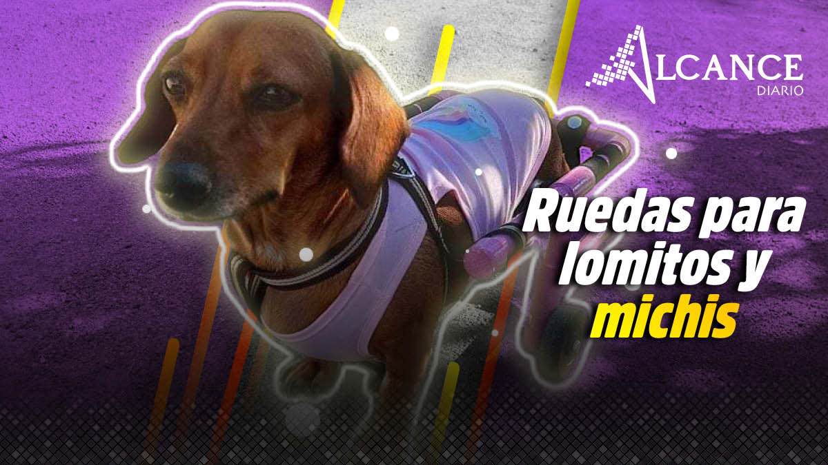 Empresa poblana Pasito Guauu y Miauu