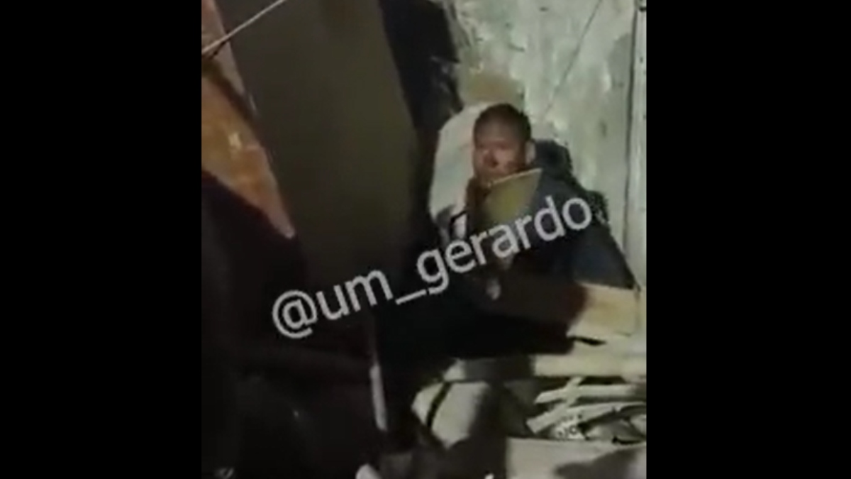 Sujeto que come perros callejeros
