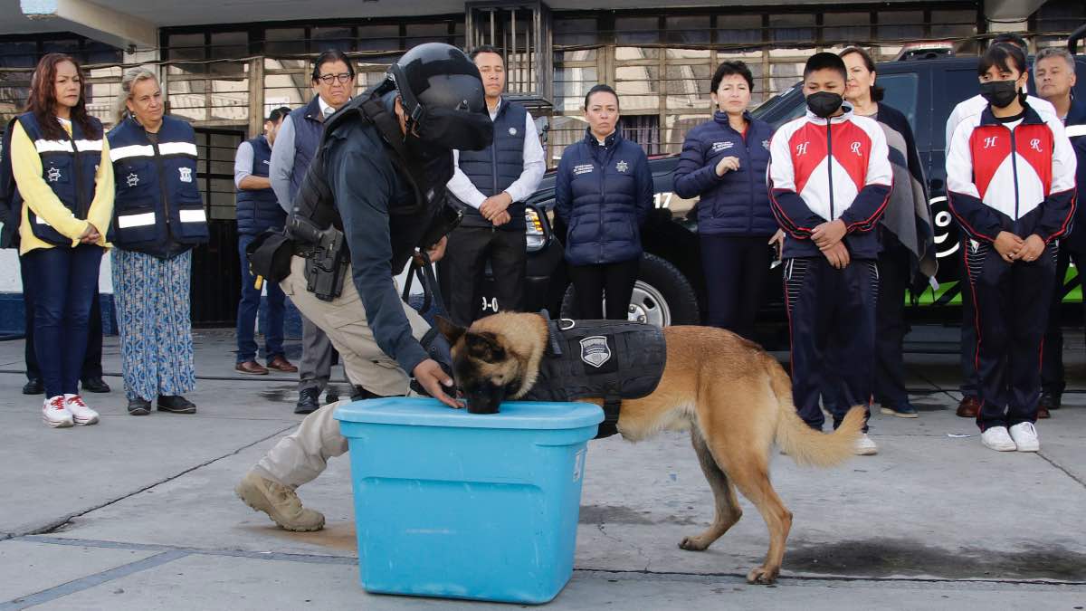 Binomio K9 asegura 22 kilos de cocaína en empresa de paquetería en Parque 2000