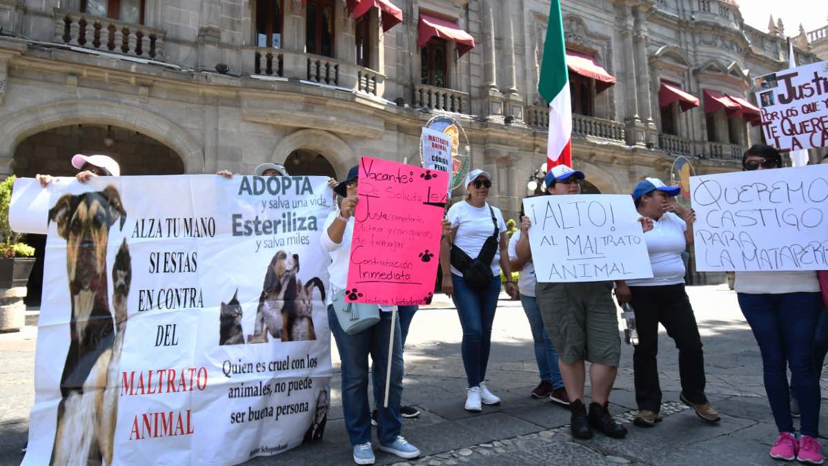 Marcharán este sábado en Puebla contra violencia animal