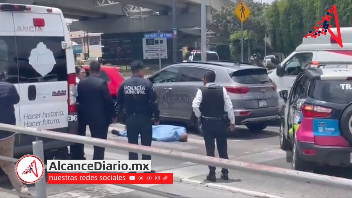 Muerto en bulevar Atlixco-2