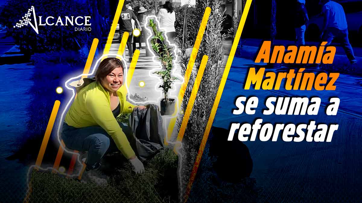 Regidora Anamía Martínez impulsa mantenimiento de áreas verdes