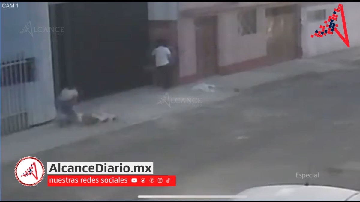 Pelea del BINE